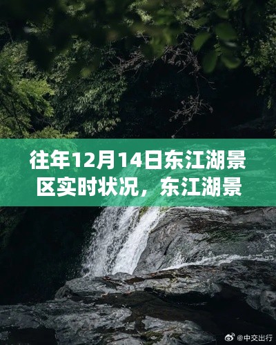 东江湖景区励志篇章,变化中的学习与自信成就的光辉历程实时报道