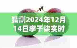 李子柒抖音粉丝量猜想,温馨日常与粉丝情缘的展望(2024年12月14日实时预测)