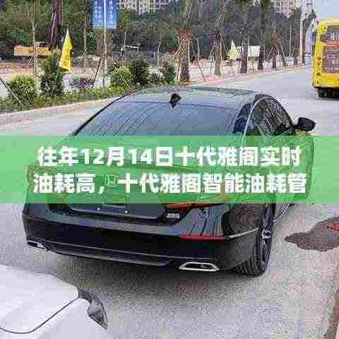 十代雅阁智能油耗管理系统,科技革新助力油耗降低,轻松享受生活驾驶体验