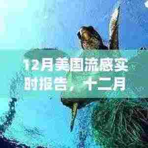 美国流感十二月报告,暖阳下的友情与陪伴之旅