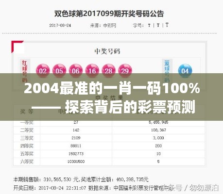 2004最准的一肖一码100% —— 探索背后的彩票预测神话