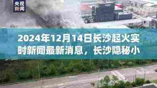 长沙隐秘小巷独特风味小店遭遇火灾,最新实时新闻与烟火中的故事