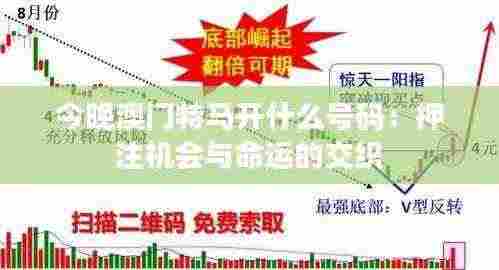 今晚澳门特马开什么号码:押注机会与命运的交织