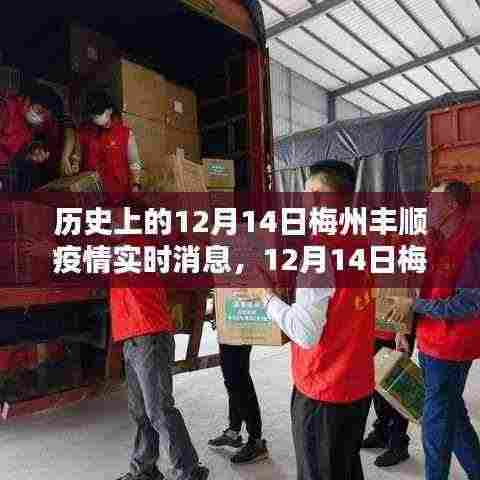 逆风中的坚守与前行,梅州丰顺疫情实时纪实,历史视角下的抗疫行动