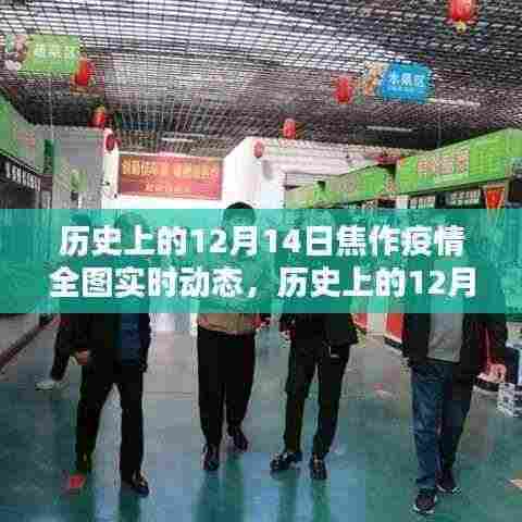 历史上的12月14日焦作疫情全图实时动态,深度评测与全面介绍