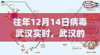 武汉逆袭之路,从病毒阴霾到知识之光,成长与自信的旅程