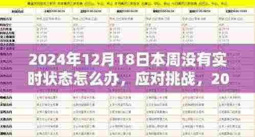 应对挑战,无实时状态下的应对策略(针对2024年12月1 8日)