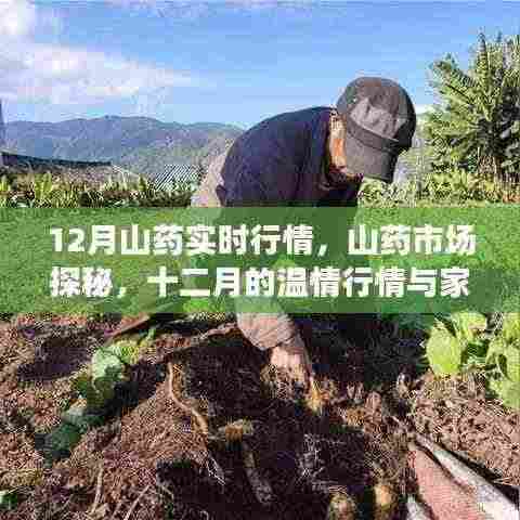 小心翼翼 第5页