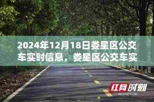 娄星区公交车实时播报,2024年12月18日实时信息更新