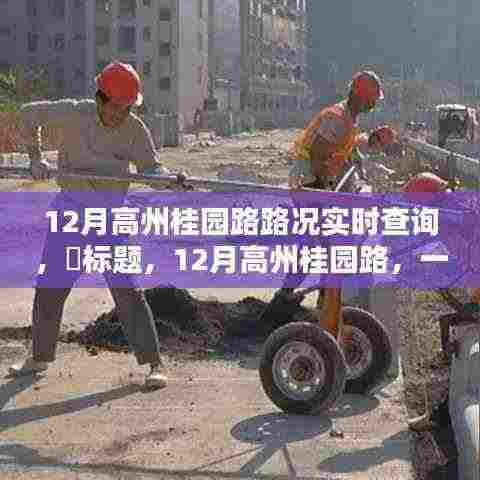 12月高州桂园路路况实时更新，一路通畅探寻自然美景，心灵宁静之旅