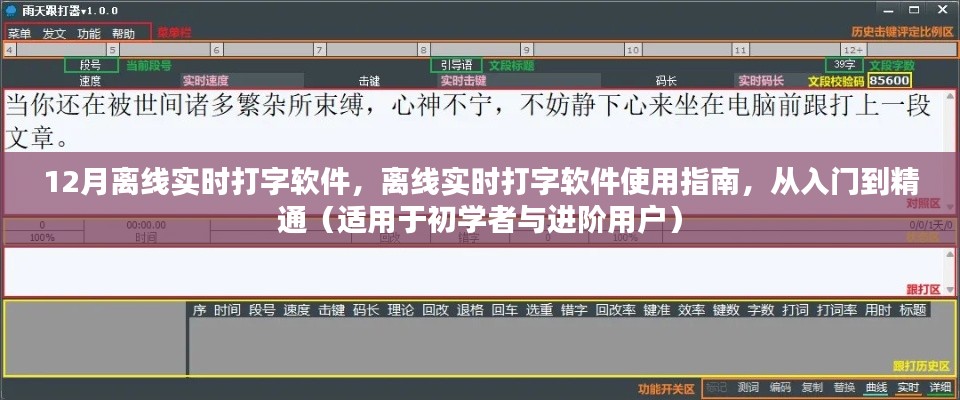 从入门到精通,离线实时打字软件使用指南(适用于初学者与进阶用户,包括12月离线打字软件)