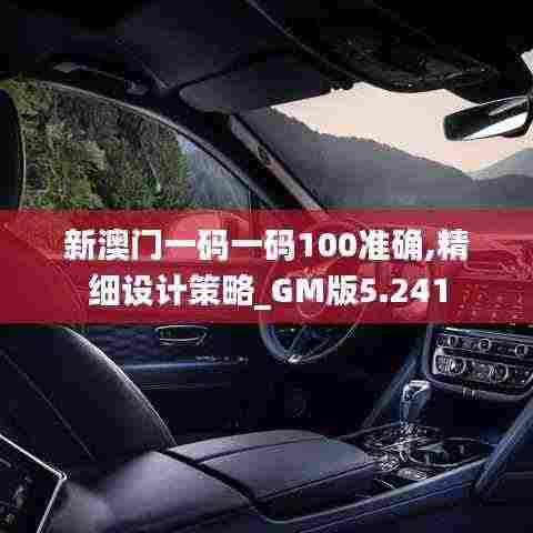 新澳门一码一码100准确,精细设计策略_GM版5.241