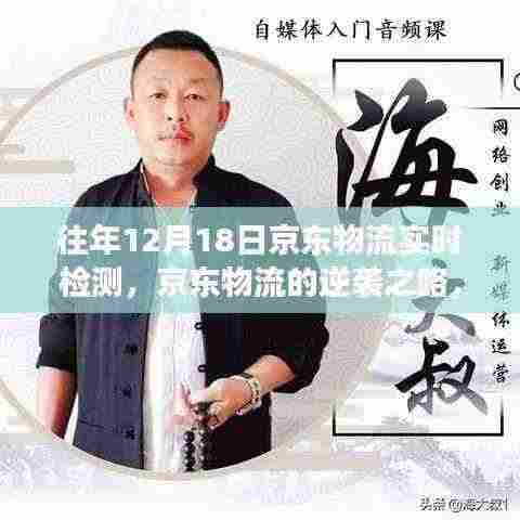 京东物流逆袭之路,实时检测背后的变化学习与自信成就之源