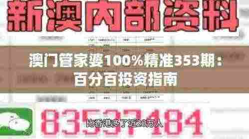 澳门管家婆100%精准353期:百分百投资指南