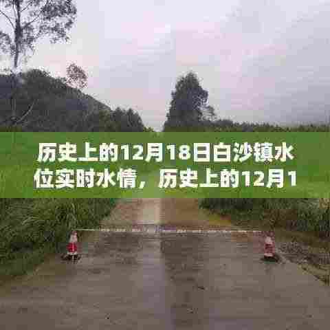 历史上的12月18日白沙镇水位实时水情记录与回顾