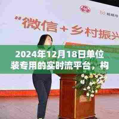 聚焦未来数字化转型之路,专用实时流平台的构建与单位数字化转型的启示(2024年12月18日)