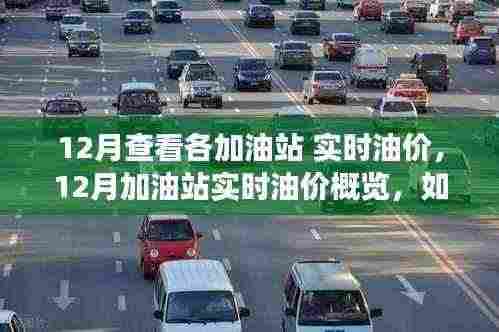 12月加油站实时油价概览，掌握油价动态，精明加油省钱攻略