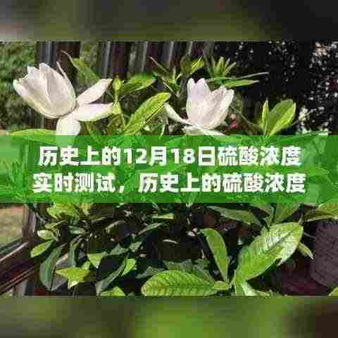 历史上的硫酸浓度实时测试,深度评测与介绍