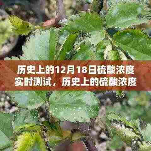 历史上的硫酸浓度实时测试,深度评测与介绍