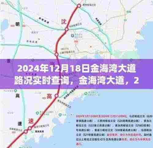 2024年12月18日金海湾大道实时路况演变与影响