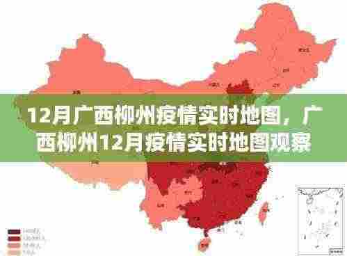 广西柳州疫情实时地图观察与分析,揭示疫情现状与个人观点解读