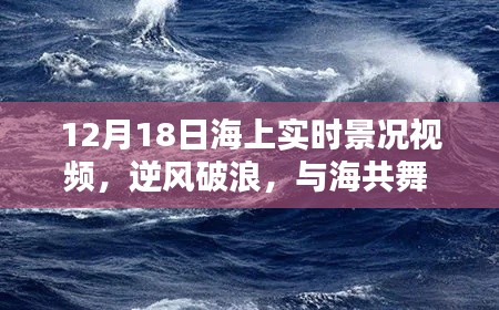 逆风破浪,共舞海洋,12月18日海上实时景况视频启示与鼓舞
