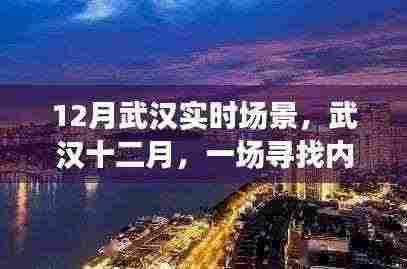 武汉十二月,寻找内心平静的绿色之旅实时场景