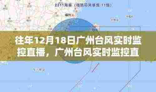 广州台风实时监控直播详解,从入门到进阶的实用指南(附往年台风监控回放)