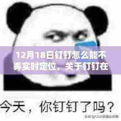 12月18日钉钉避免实时定位功能的方法指南