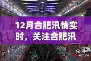 12月合肥汛情实时更新与解析