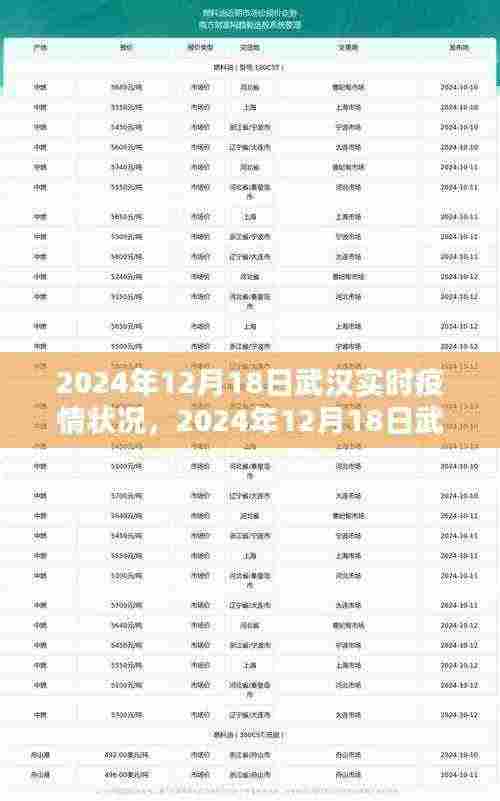 深度解析，武汉实时疫情状况（截至2024年12月18日）
