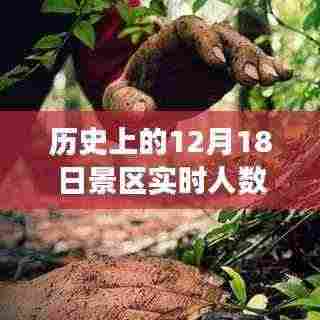 历史上的今天景区实时人数背后的励志故事,自信与成就感的魔法之旅揭秘!