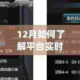 深度解读与观点碰撞,12月洞悉平台实时政策详解