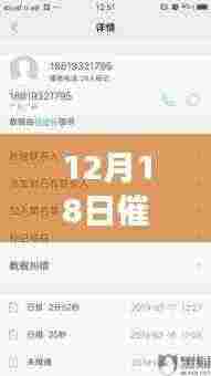寻找内心平静之旅，催收电话与自然的呼唤交织在12月18日