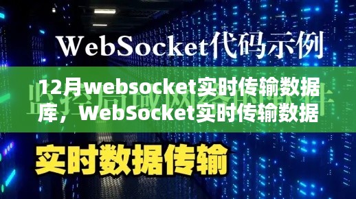 十二月WebSocket实时数据库传输,深度解析最新应用与优势