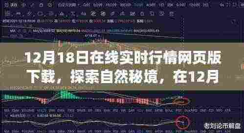 12月18日在线实时行情网页版下载,探索自然秘境,寻找内心平和