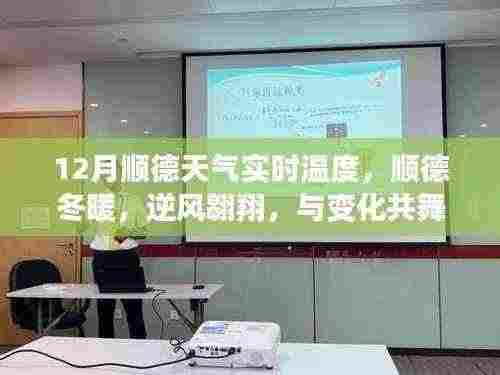 顺德冬季实时天气温度,逆风翱翔中的温度智慧