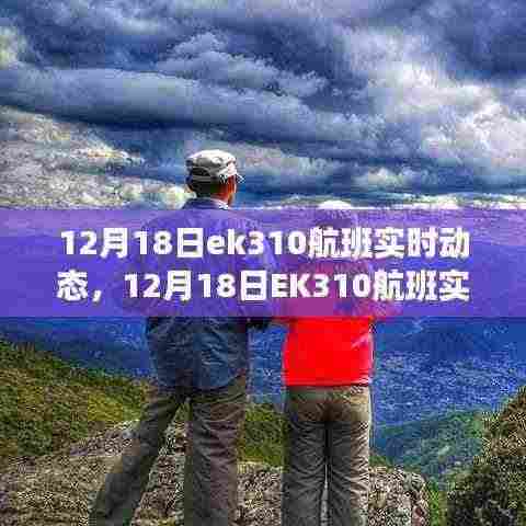 12月18日EK310航班实时动态更新,探索航班之旅的最新进展
