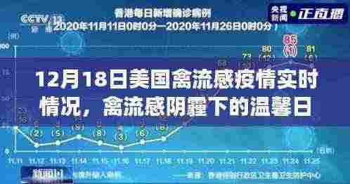 美国禽流感疫情下的邻里温情,爱与陪伴的力量