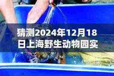 揭秘,2024年12月18日上海野生动物园天气预报深度解析与实时天气状况揭秘。