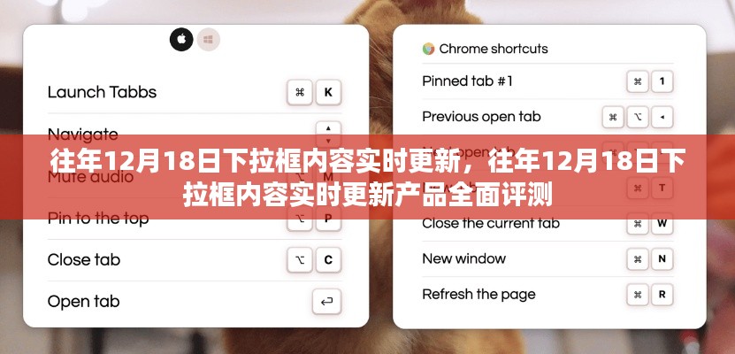 往年12月18日下拉框内容实时更新与产品全面评测揭秘