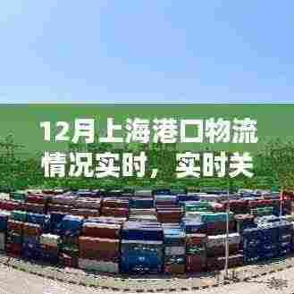 12月上海港口物流动态深度解析,实时关注与物流情况实时更新