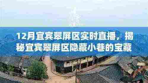 宜宾翠屏区宝藏小店实时直播盛宴,探寻隐藏小巷的特色魅力