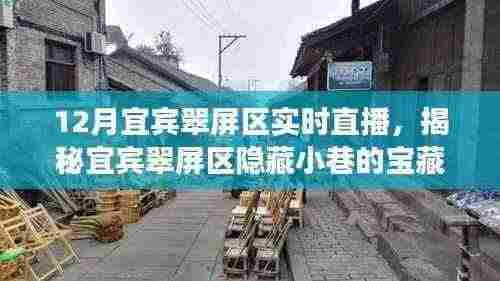 宜宾翠屏区宝藏小店实时直播盛宴,探寻隐藏小巷的特色魅力