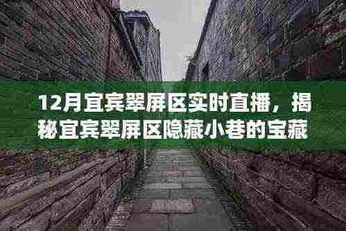宜宾翠屏区宝藏小店实时直播盛宴,探寻隐藏小巷的特色魅力