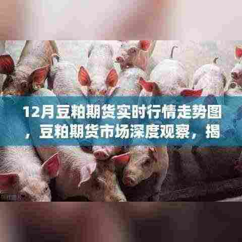 揭秘十二月豆粕期货实时行情走势背后的故事及深度市场分析