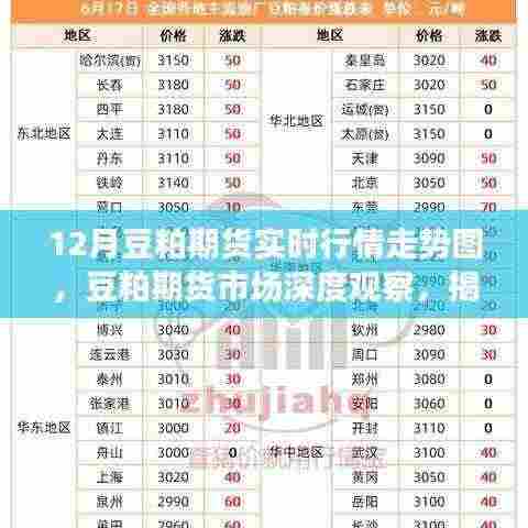 揭秘十二月豆粕期货实时行情走势背后的故事及深度市场分析