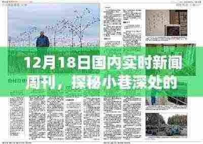 探秘小巷深处的独特风味，国内实时新闻周刊特色小店之旅回顾（12月18日）
