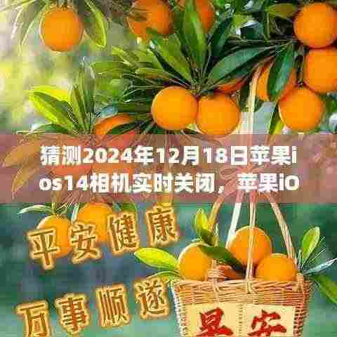 苹果iOS 14相机实时关闭功能展望，技术趋势与个人立场的博弈，未来预测于2024年12月18日的影响分析
