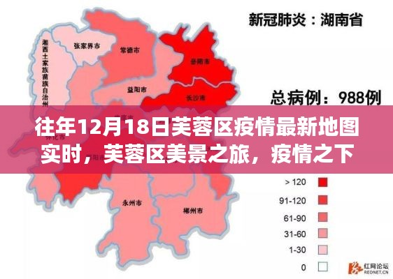 芙蓉区美景之旅,疫情之下的宁静港湾实时地图与一天的自然共舞体验